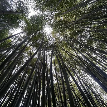 Logis Restaurant Le Domaine De La Regaliere Anduze